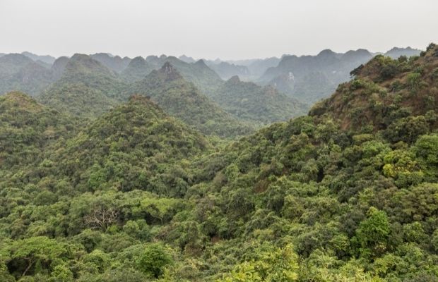 Ngu Lam Viewpoint in Cat Ba National Park